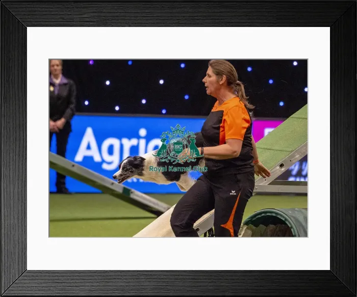 Framed Print : Crufts 2019 - Day Three, NEC, UK - 9 Mar 2019
