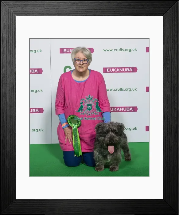 Framed Print : Crufts 2019 - Best of Breed  /  Terrier