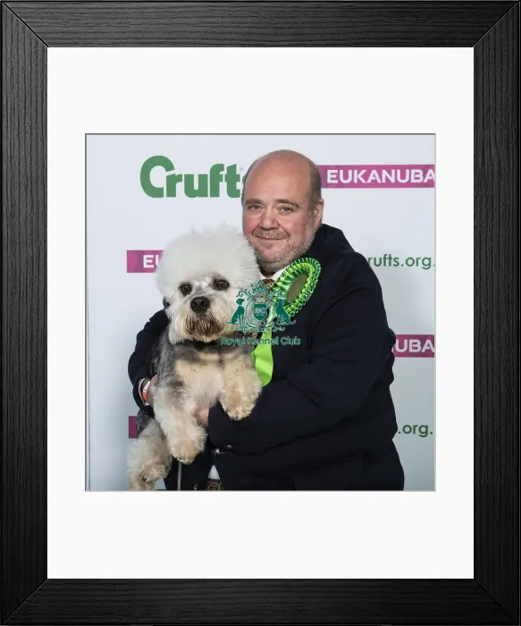 Framed Print : Crufts 2019 - Best of Breed / Terrier Framed Print : Crufts 2019 - Best of Breed / Terrier