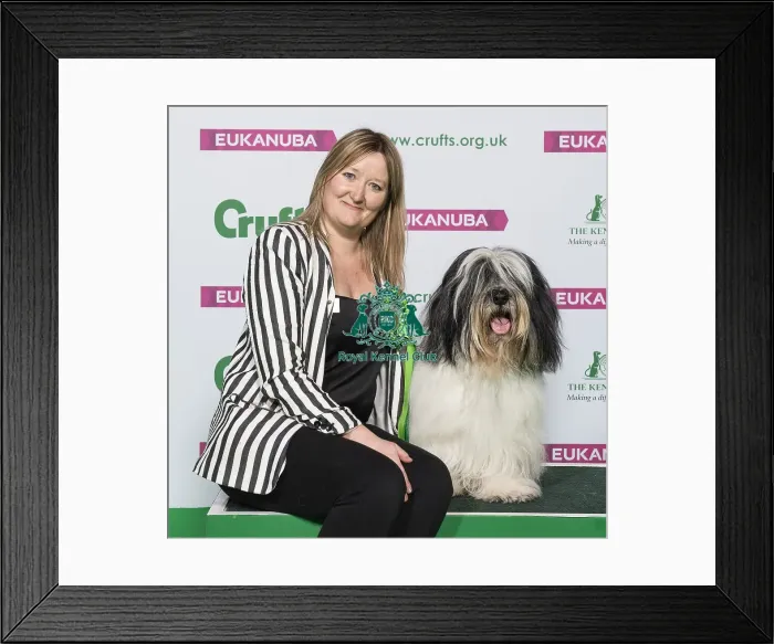 Framed Print : Crufts 2019 - Best of Breed / Pastoral Framed Print : Crufts 2019 - Best of Breed / Pastoral