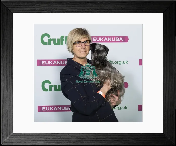 Framed Print : Crufts 2019 - Best of Breed  /  Terrier