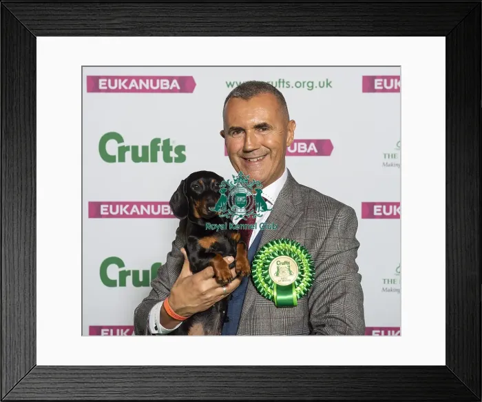 Framed Print : Crufts 2019 - Best of Breed / Hound Framed Print : Crufts 2019 - Best of Breed / Hound