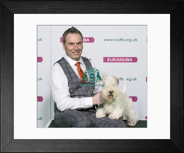 Framed Print : Crufts 2019 - Best of Breed / Terrier Framed Print : Crufts 2019 - Best of Breed / Terrier