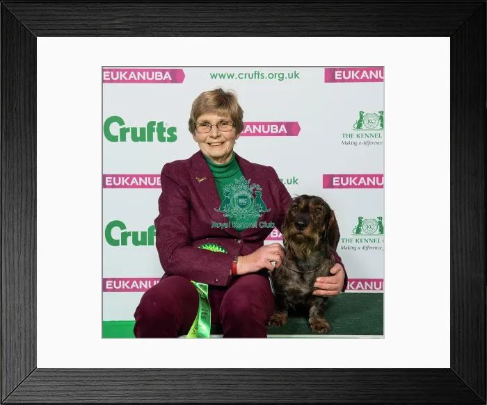 Framed Print : Crufts 2019 - Best of Breed  /  Hound