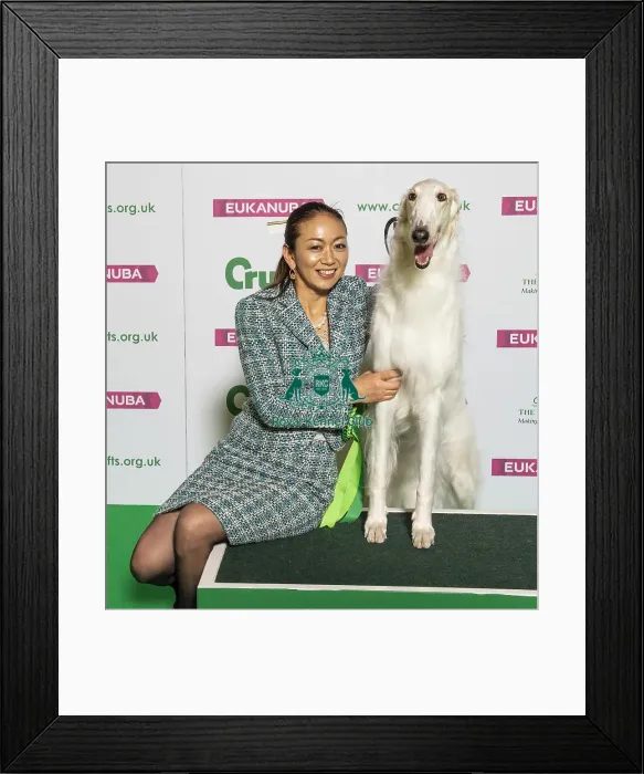 Framed Print : Crufts 2019 - Best of Breed  /  Hound