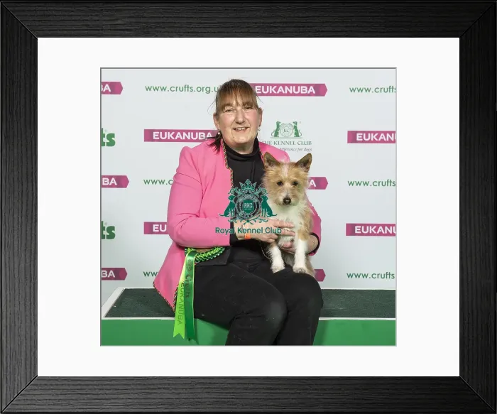 Framed Print : Crufts 2019 - Best of Breed  /  Hound
