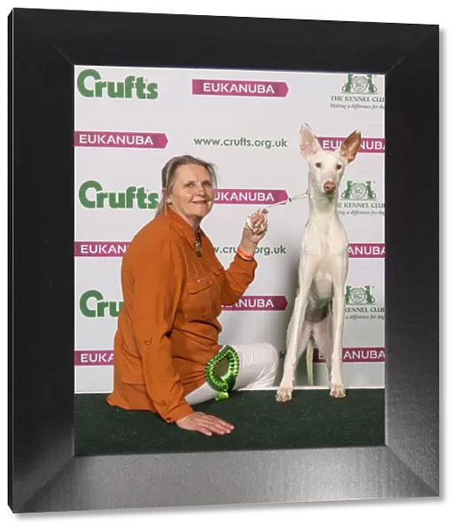 Crufts 2019 - Best of Breed  /  Hound