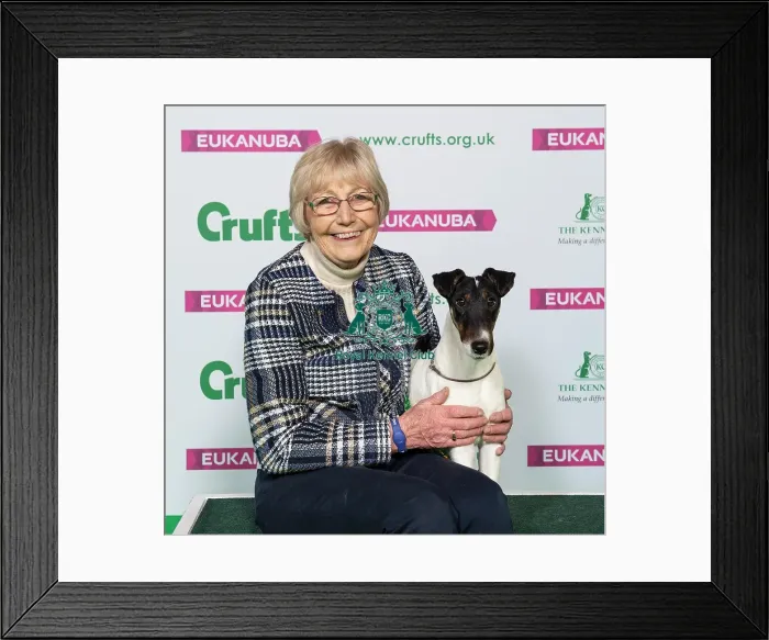 Framed Print : Crufts 2019 - Best of Breed / Terrier Framed Print : Crufts 2019 - Best of Breed / Terrier