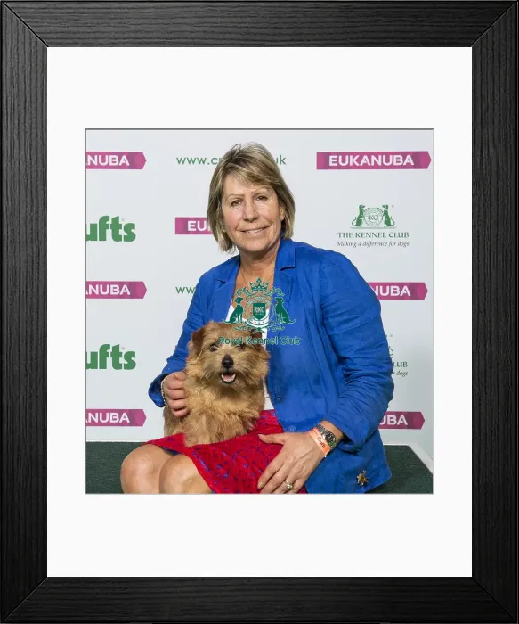 Framed Print : Crufts 2019 - Best of Breed  /  Terrier