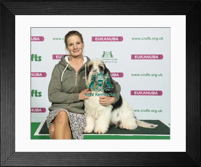 Framed Print : Crufts 2019 - Best of Breed / Hound Framed Print : Crufts 2019 - Best of Breed / Hound