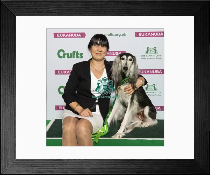 Framed Print : Crufts 2019 - Best of Breed / Hound Framed Print : Crufts 2019 - Best of Breed / Hound