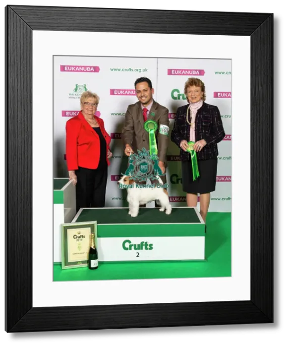 Framed Print : Crufts 2019 - Best of Breed  /  Terrier