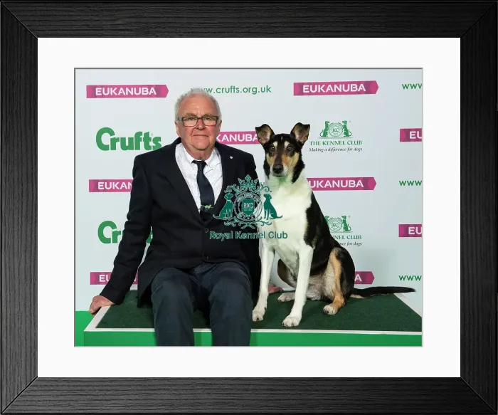 Framed Print : Crufts 2019 - Best of Breed / Pastoral Framed Print : Crufts 2019 - Best of Breed / Pastoral