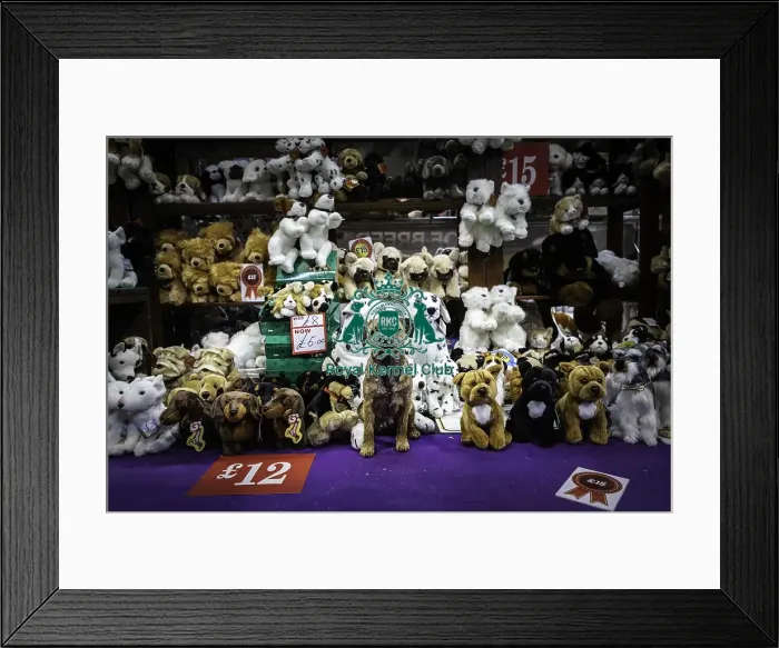 Framed Print : Crufts 2019 - Day Three, NEC, UK - 9 Mar 2019
