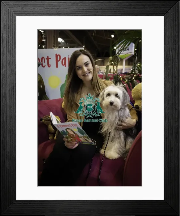 Framed Print : Crufts 2019 - Day Three, NEC, UK - 9 Mar 2019 Framed Print : Crufts 2019 - Day Three, NEC, UK - 9 Mar 2019