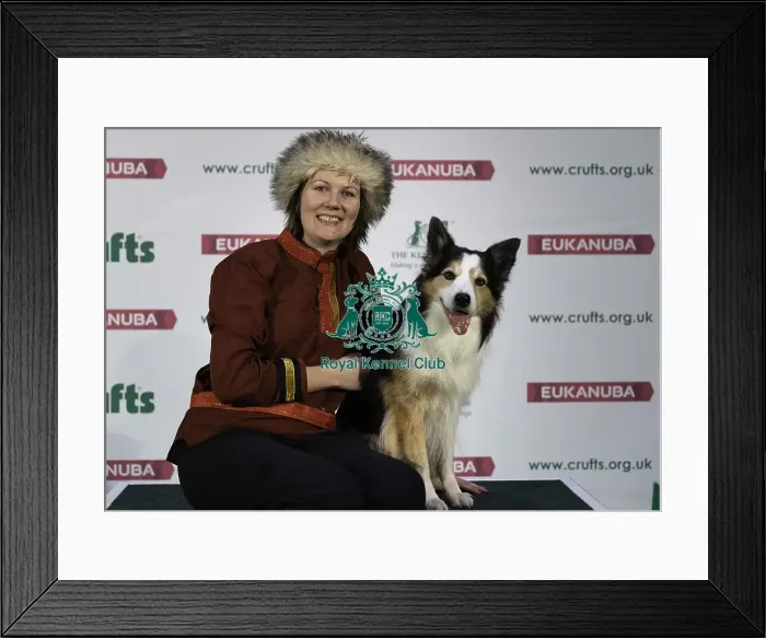 Framed Print : Crufts 2019 - Day Two, NEC, UK - 8 Mar 2019 Framed Print : Crufts 2019 - Day Two, NEC, UK - 8 Mar 2019