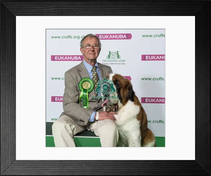 Framed Print : Crufts 2019 - Best of Breed / Working Framed Print : Crufts 2019 - Best of Breed / Working