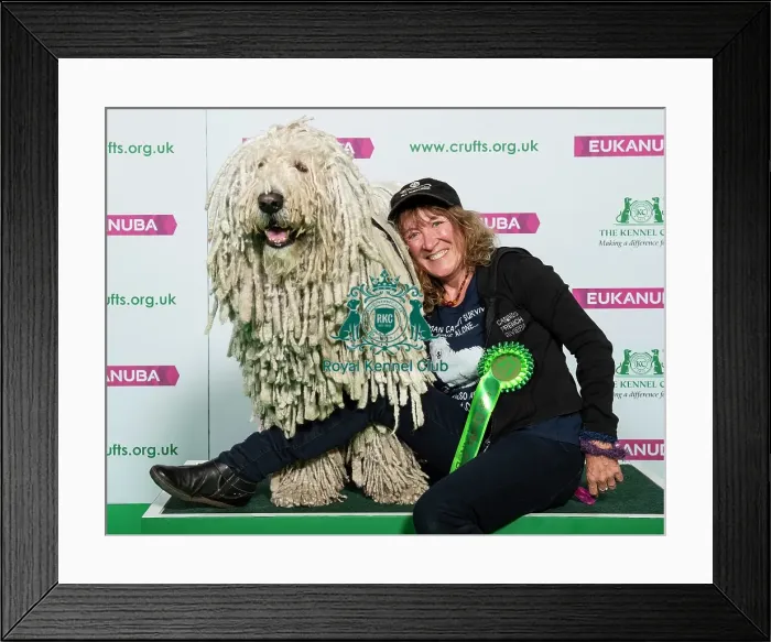 Framed Print : Crufts 2019 - Best of Breed  /  Pastoral