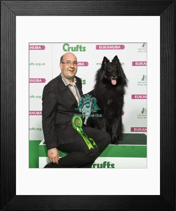 Framed Print : Crufts 2019 - Best of Breed / Pastoral Framed Print : Crufts 2019 - Best of Breed / Pastoral