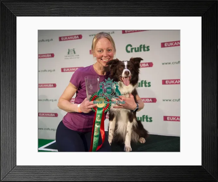 Framed Print : Crufts 2019 - Day Three, NEC, UK - 9 Mar 2019 Framed Print : Crufts 2019 - Day Three, NEC, UK - 9 Mar 2019