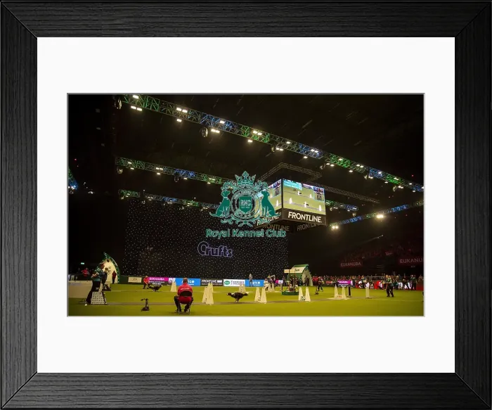 Framed Print : Crufts 2019 - Day Three, NEC, UK - 9 Mar 2019 Framed Print : Crufts 2019 - Day Three, NEC, UK - 9 Mar 2019