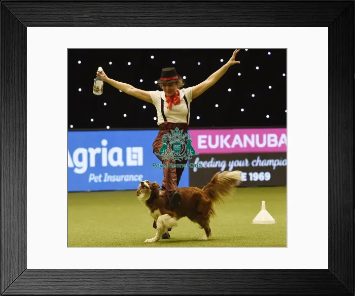 Framed Print : Crufts 2019 - Day Three, NEC, UK - 9 Mar 2019 Framed Print : Crufts 2019 - Day Three, NEC, UK - 9 Mar 2019