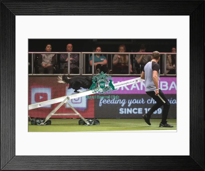 Framed Print : Crufts 2019 - Day Two, NEC, UK - 8 Mar 2019