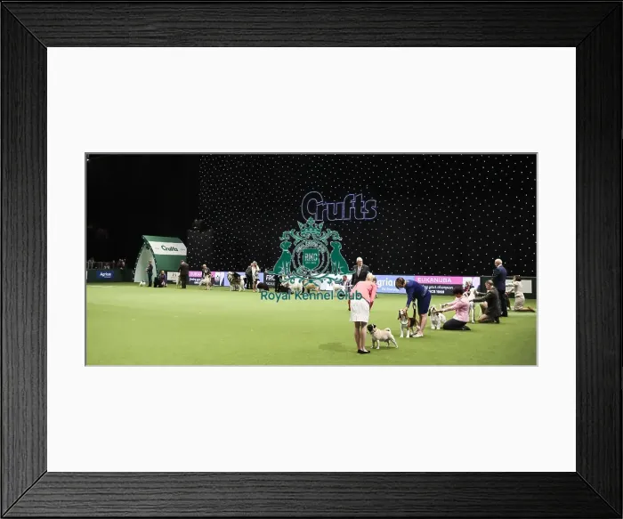 Framed Print : Crufts 2019 - Day Two, NEC, UK - 8 Mar 2019 Framed Print : Crufts 2019 - Day Two, NEC, UK - 8 Mar 2019