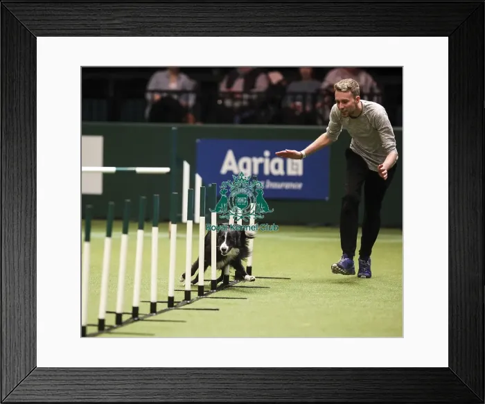 Framed Print : Crufts 2019 - Day Two, NEC, UK - 8 Mar 2019