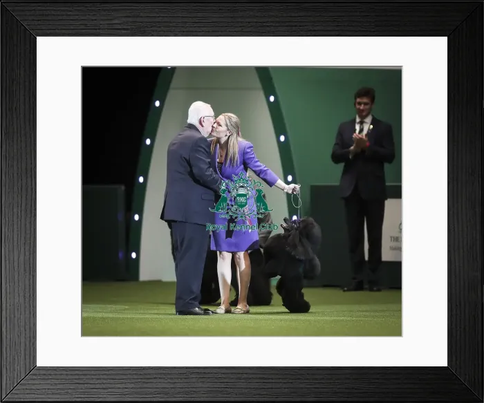 Framed Print : Crufts 2019 - Day Two, NEC, UK - 8 Mar 2019 Framed Print : Crufts 2019 - Day Two, NEC, UK - 8 Mar 2019