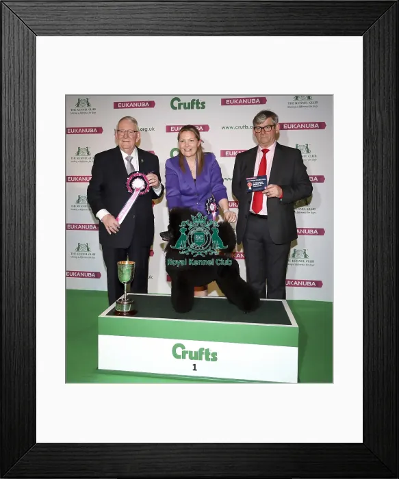 Framed Print : Crufts 2019 - Day Two, NEC, UK - 8 Mar 2019 Framed Print : Crufts 2019 - Day Two, NEC, UK - 8 Mar 2019