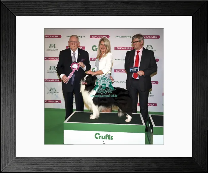 Framed Print : Crufts 2019 - Day Two, NEC, UK - 8 Mar 2019 Framed Print : Crufts 2019 - Day Two, NEC, UK - 8 Mar 2019