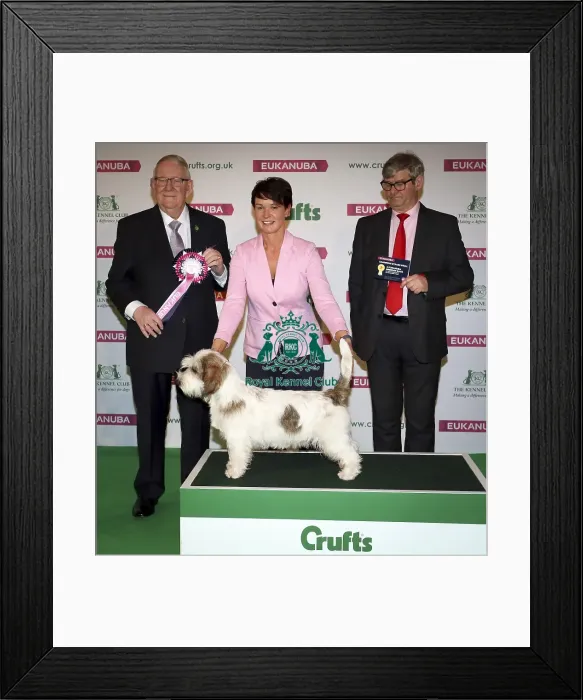 Framed Print : Crufts 2019 - Day Two, NEC, UK - 8 Mar 2019 Framed Print : Crufts 2019 - Day Two, NEC, UK - 8 Mar 2019