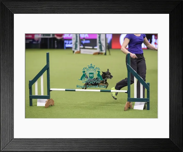 Framed Print : Crufts 2019 - Day Three, NEC, UK - 9 Mar 2019