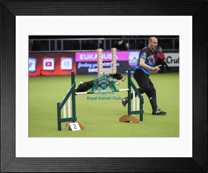 Framed Print : Crufts 2019 - Day Three, NEC, UK - 9 Mar 2019 Framed Print : Crufts 2019 - Day Three, NEC, UK - 9 Mar 2019