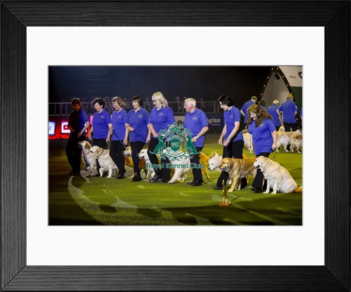Framed Print : Crufts 2019 - Day Three, NEC, UK - 9 Mar 2019 Framed Print : Crufts 2019 - Day Three, NEC, UK - 9 Mar 2019