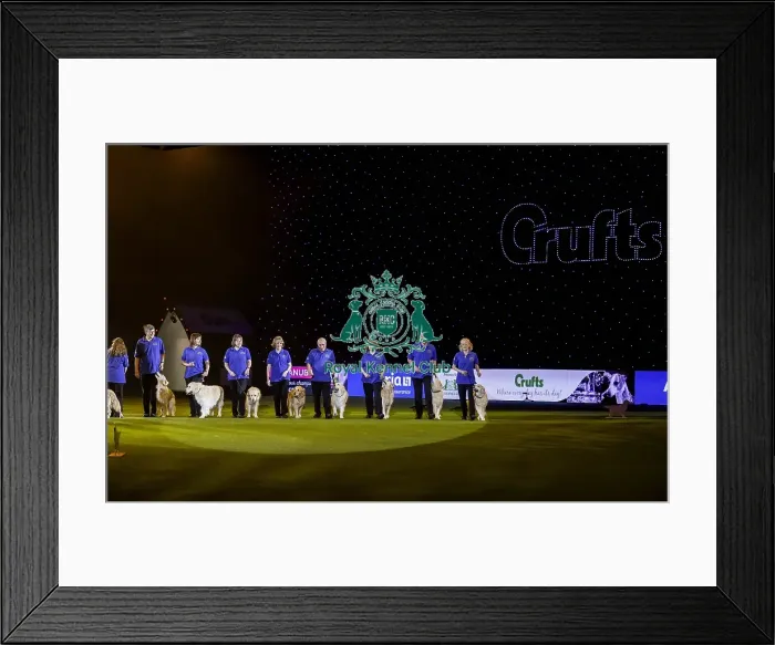Framed Print : Crufts 2019 - Day Three, NEC, UK - 9 Mar 2019