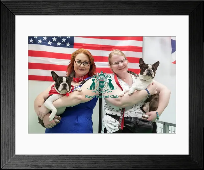 Framed Print : Crufts 2019 - Day Three, NEC, UK - 9 Mar 2019 Framed Print : Crufts 2019 - Day Three, NEC, UK - 9 Mar 2019