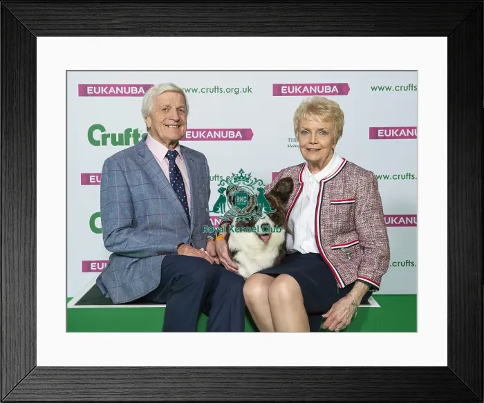 Framed Print : Crufts 2019 - Best of Breed / Pastoral Framed Print : Crufts 2019 - Best of Breed / Pastoral