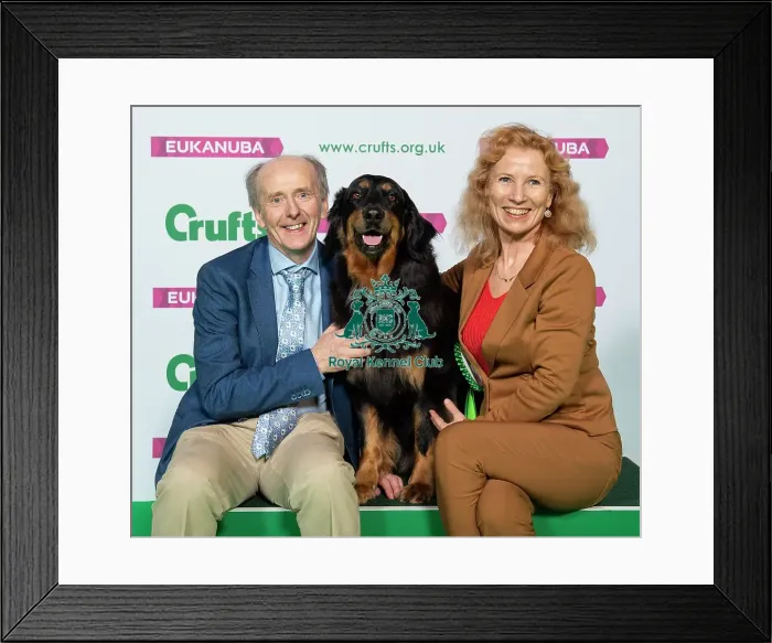 Framed Print : Crufts 2019 - Best of Breed / Working Framed Print : Crufts 2019 - Best of Breed / Working