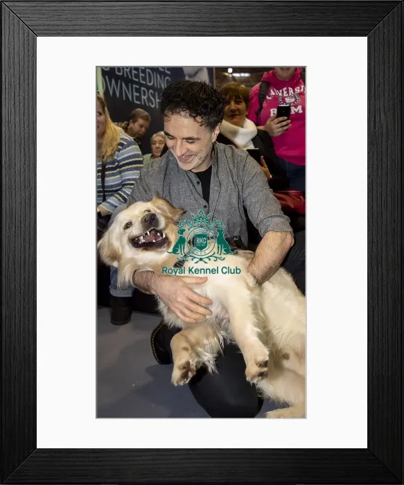 Framed Print : Crufts 2019 - Day Two, NEC, UK - 8 Mar 2019 Framed Print : Crufts 2019 - Day Two, NEC, UK - 8 Mar 2019