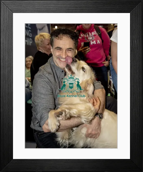 Framed Print : Crufts 2019 - Day Two, NEC, UK - 8 Mar 2019 Framed Print : Crufts 2019 - Day Two, NEC, UK - 8 Mar 2019