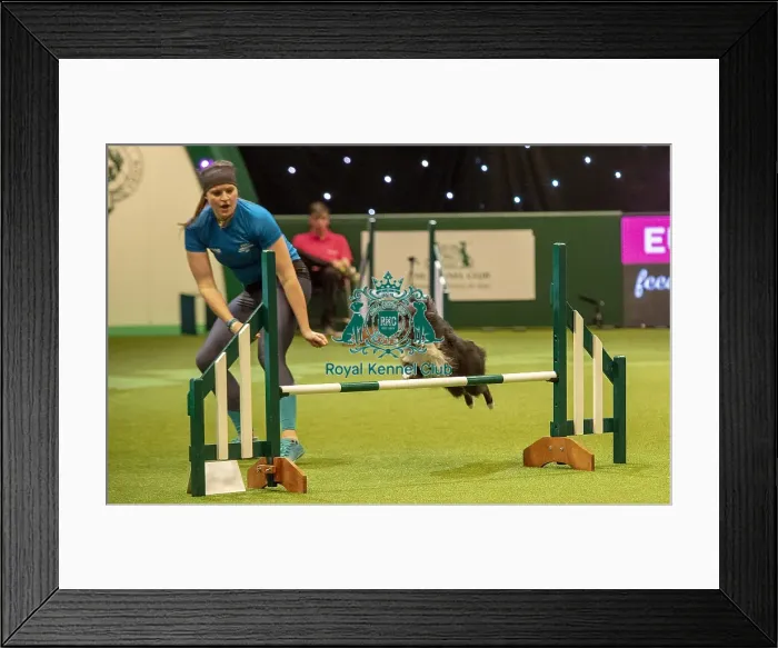 Framed Print : Crufts 2019 - Day Two, NEC, UK - 8 Mar 2019 Framed Print : Crufts 2019 - Day Two, NEC, UK - 8 Mar 2019