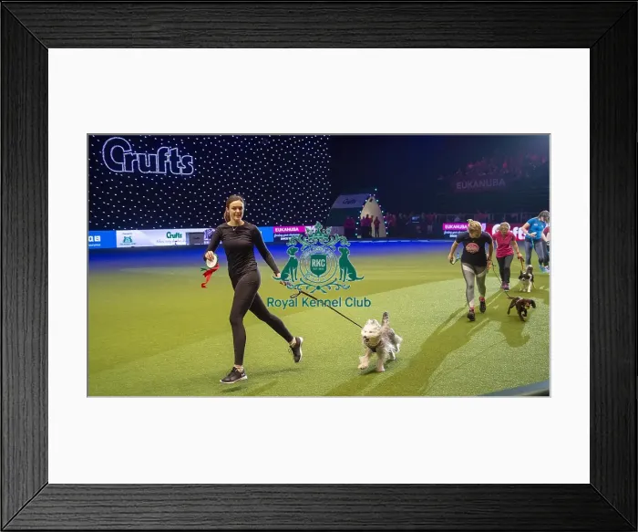 Framed Print : Crufts 2019 - Day Two, NEC, UK - 8 Mar 2019