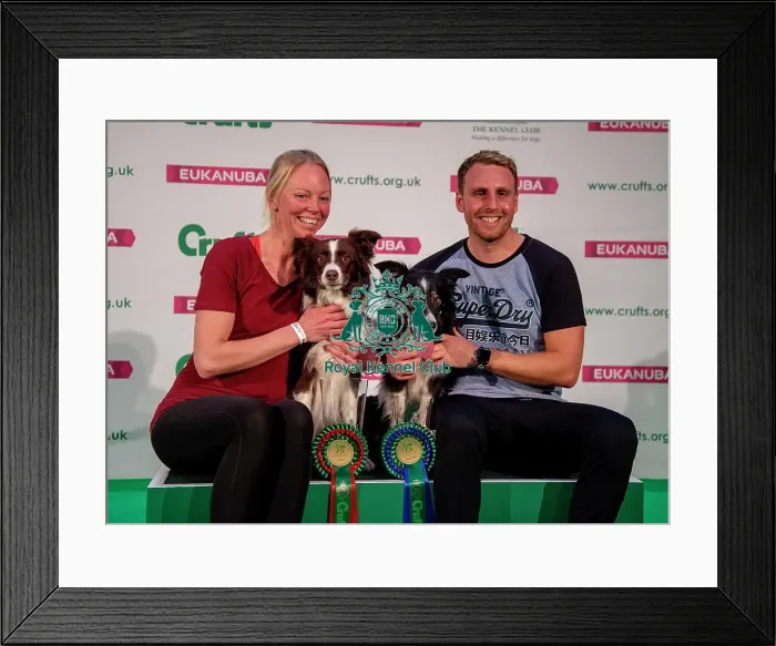 Framed Print : Crufts 2019 - Day Two, NEC, UK - 8 Mar 2019 Framed Print : Crufts 2019 - Day Two, NEC, UK - 8 Mar 2019