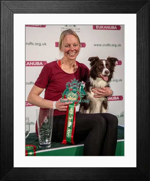 Framed Print : Crufts 2019 - Day Two, NEC, UK - 8 Mar 2019 Framed Print : Crufts 2019 - Day Two, NEC, UK - 8 Mar 2019
