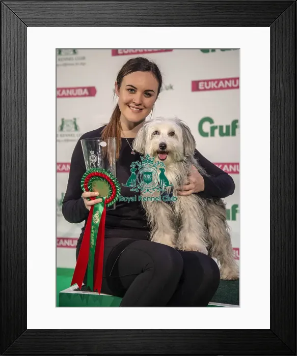 Framed Print : Crufts 2019 - Day Two, NEC, UK - 8 Mar 2019 Framed Print : Crufts 2019 - Day Two, NEC, UK - 8 Mar 2019