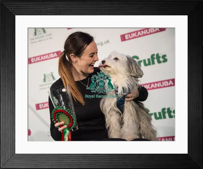 Framed Print : Crufts 2019 - Day Two, NEC, UK - 8 Mar 2019 Framed Print : Crufts 2019 - Day Two, NEC, UK - 8 Mar 2019