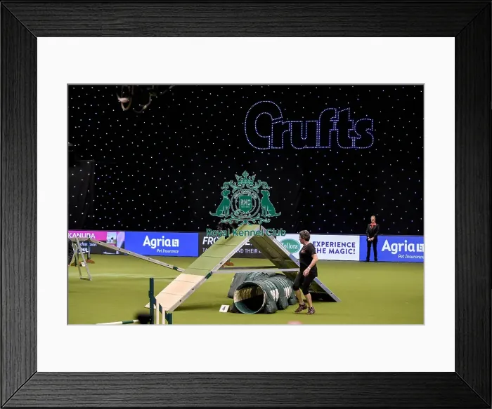 Framed Print : Crufts 2019 - Day Two, NEC, UK - 8 Mar 2019 Framed Print : Crufts 2019 - Day Two, NEC, UK - 8 Mar 2019