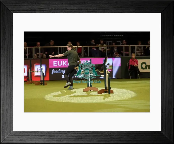 Framed Print : Crufts 2019 - Day Two, NEC, UK - 8 Mar 2019 Framed Print : Crufts 2019 - Day Two, NEC, UK - 8 Mar 2019